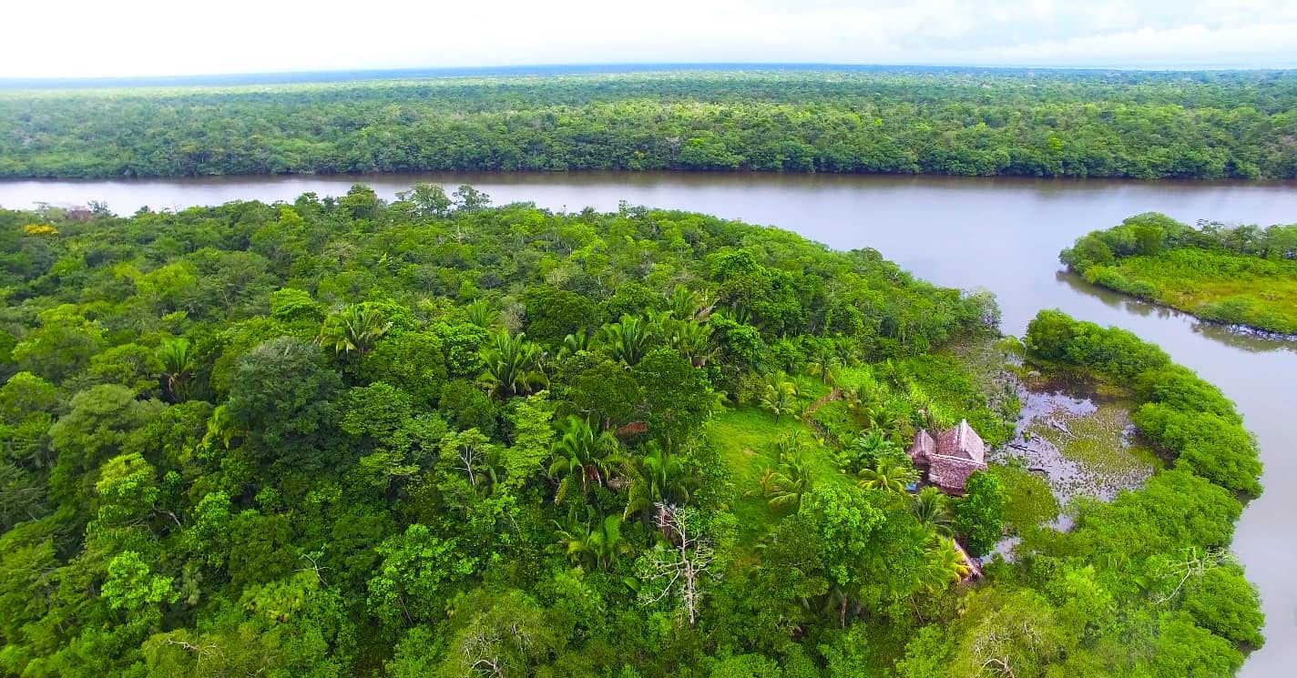 Aerial view of a dense tropical rainforest with a river flowing through it, showcasing nature-based solutions for carbon capture, and a small hut visible among the trees.