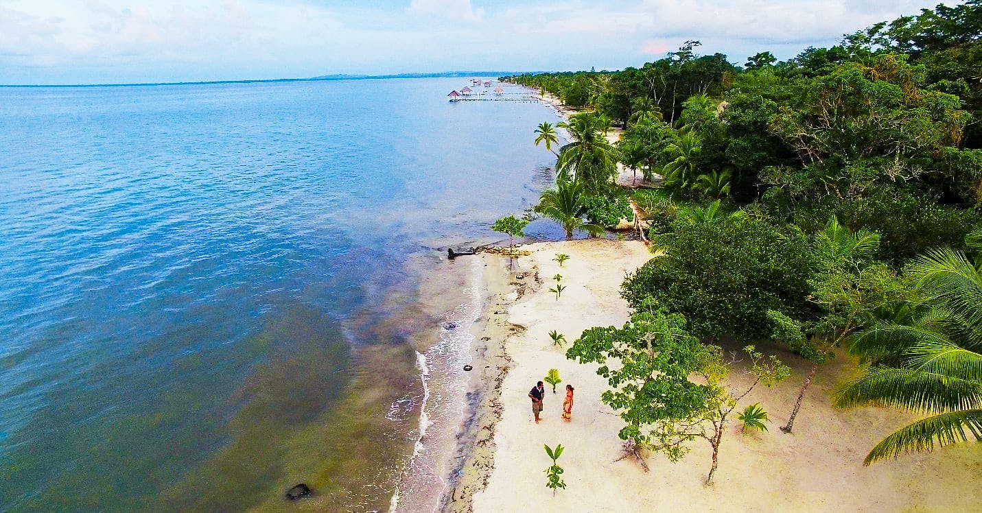 Aerial view of a beach with clear water, sandy shore, and scattered palm trees. Two people are walking along the shore, with the ocean to their left and lush greenery to their right.