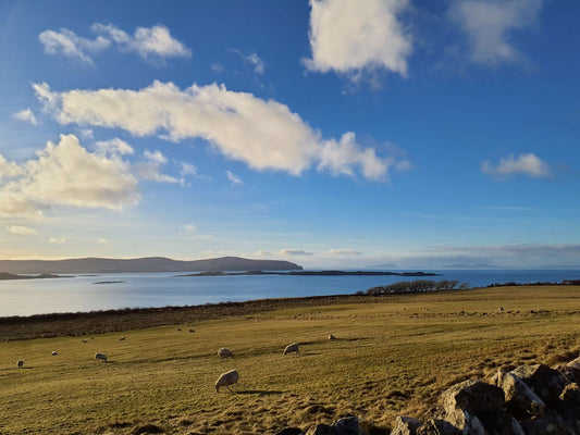 A landscape of sheep grazing with hills in the distance beyond a body of water. There are some small shrub trees along the shoreline and a stone wall in the foreground.