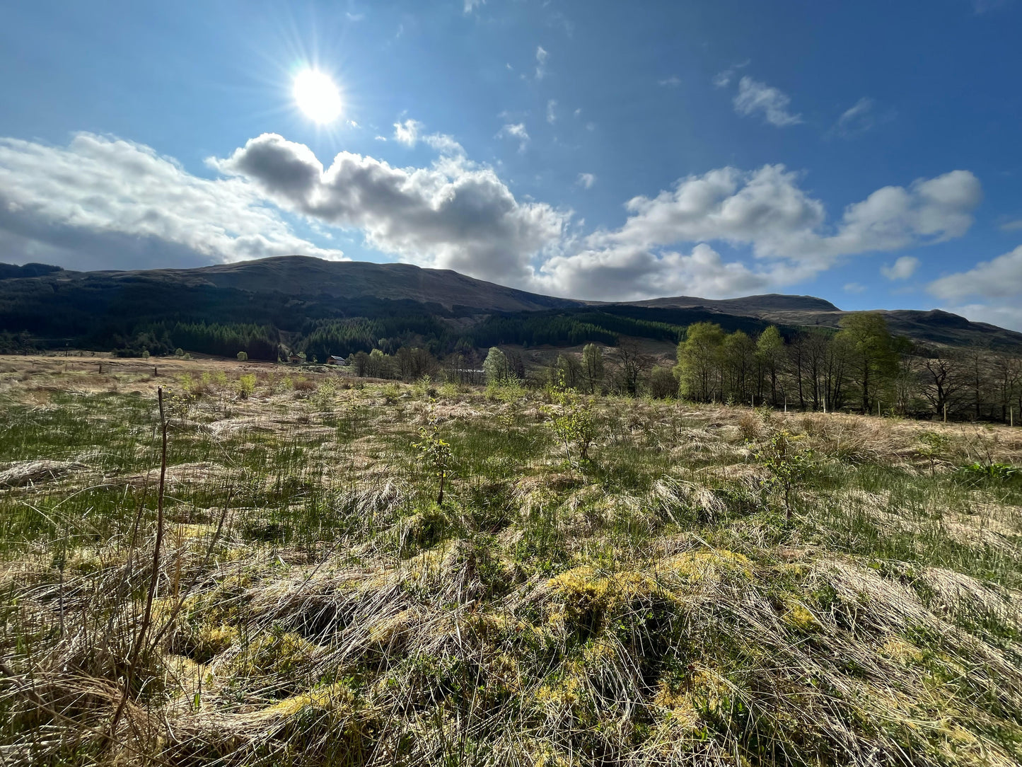 Sun shining over a grassy and slightly hilly landscape with a backdrop of distant hills and scattered trees under a partly cloudy sky.