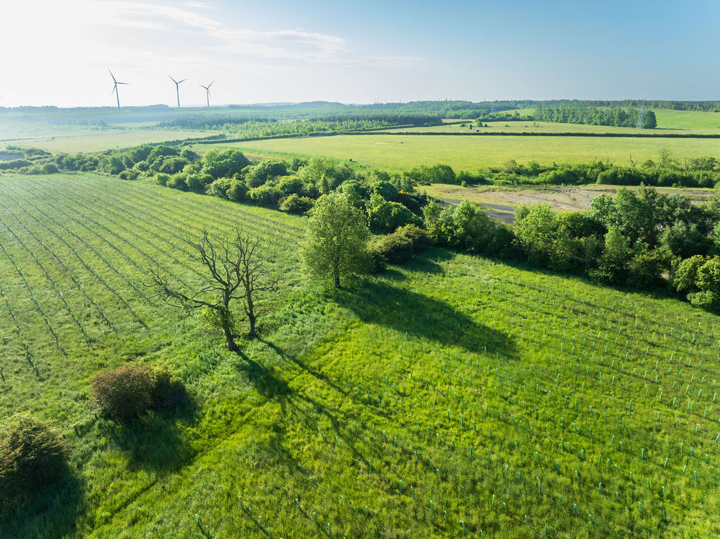 Aerial view of green fields with trees young and old, and wind turbines in the distance working to cut greenhouse gas emissions in the UK.