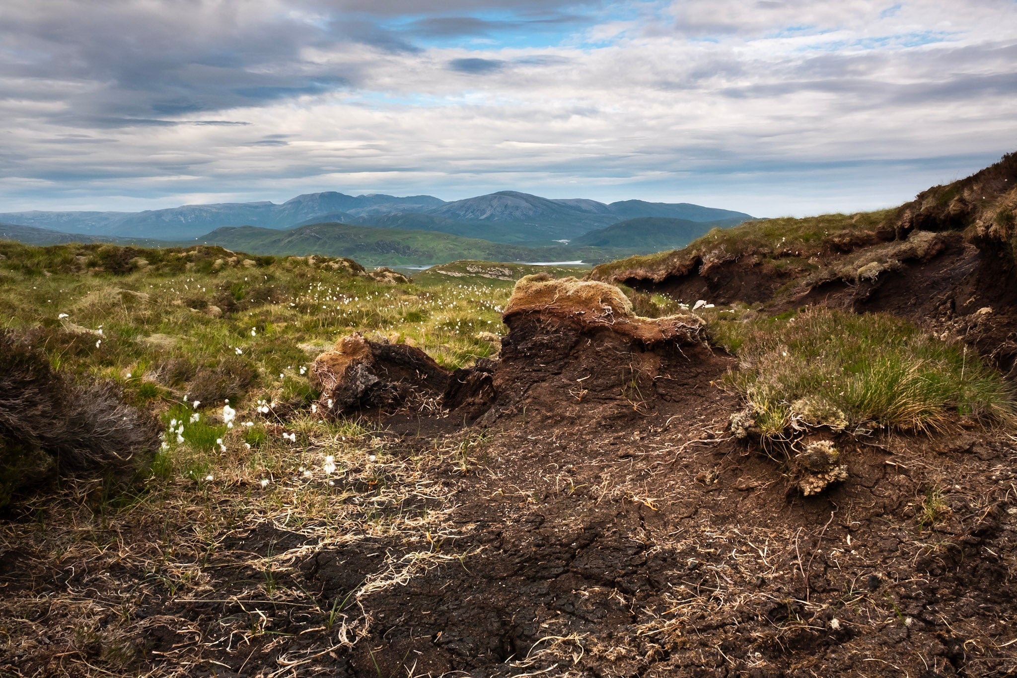 Moorland with exposed peat, likely emitting soil carbon. Green vegetation and cotton grass dot the landscape, with hills and mountains in the distance.