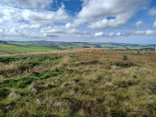 Woodland Creation in a Changing Climate: Perspectives from England and Scotland