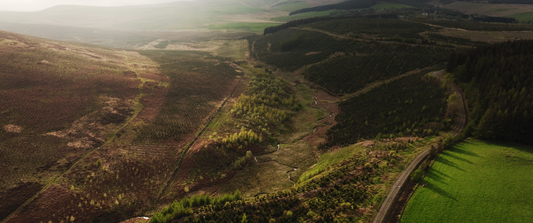 Twenty years of Forest Carbon: from handshake to lasting impact