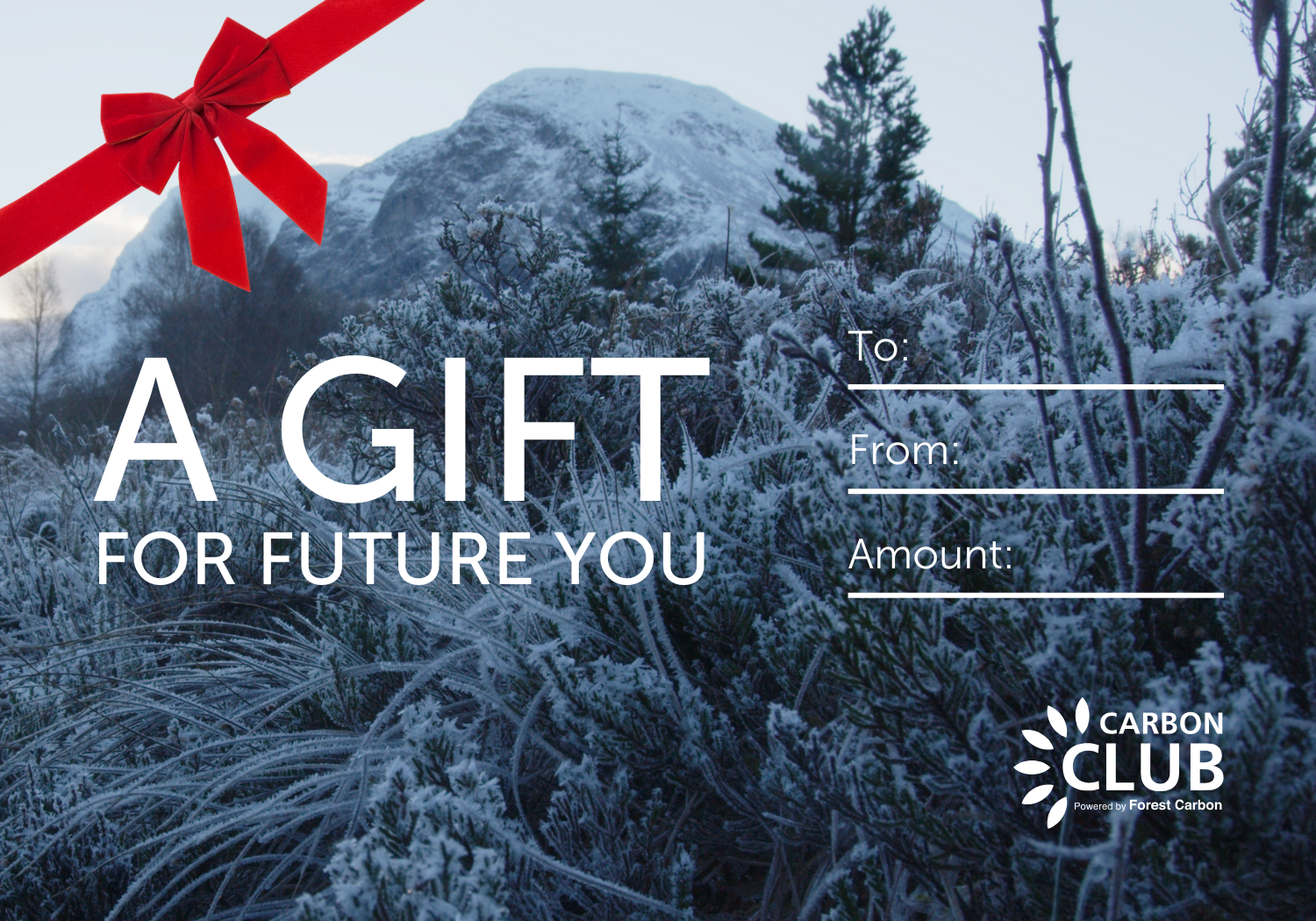 Snow-covered landscape with trees and a mountain in the background. A red ribbon and text: "A Gift for Future You" with blank fields for "To," "From," and "Amount." Carbon Club logo in the corner.