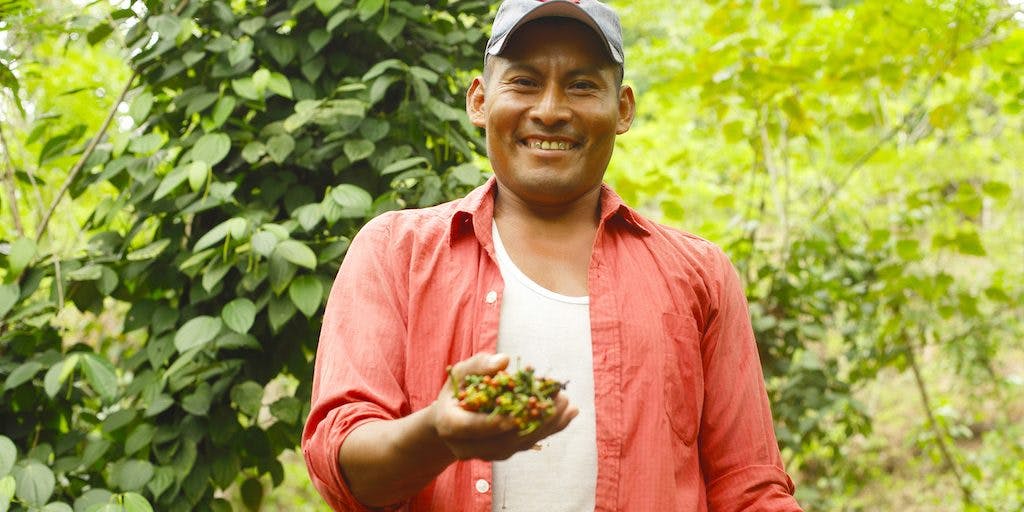 A man wearing a red shirt and a cap smiles at the camera while holding a handful of small berries. He is surrounded by carbon-financed vegetation.