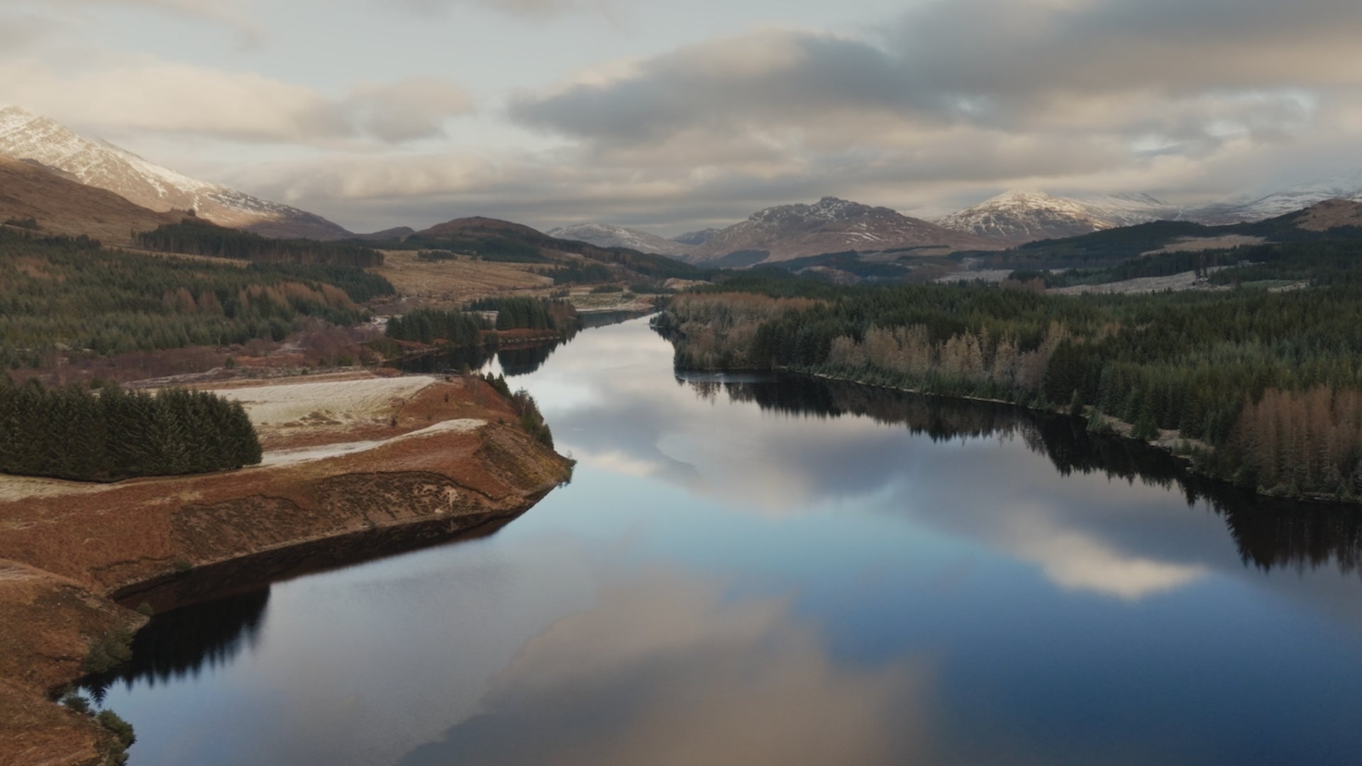 Aerial view of woodland creation project improving water quality, showcasing natural vegetation and a meandering stream in a restoring landscape.