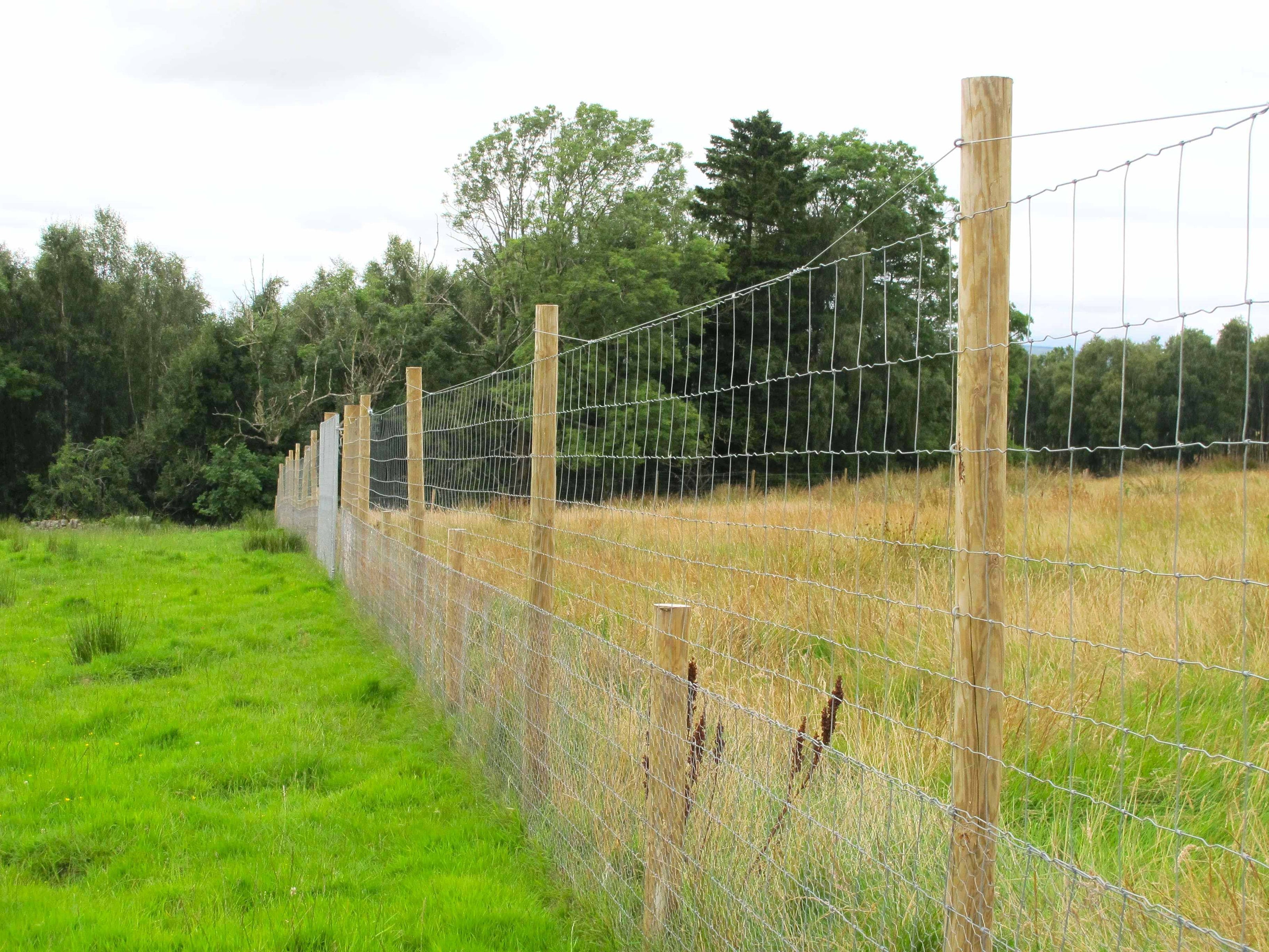 A wooden post wire fence running diagonally through a grassy field with trees in the background under an overcast sky.