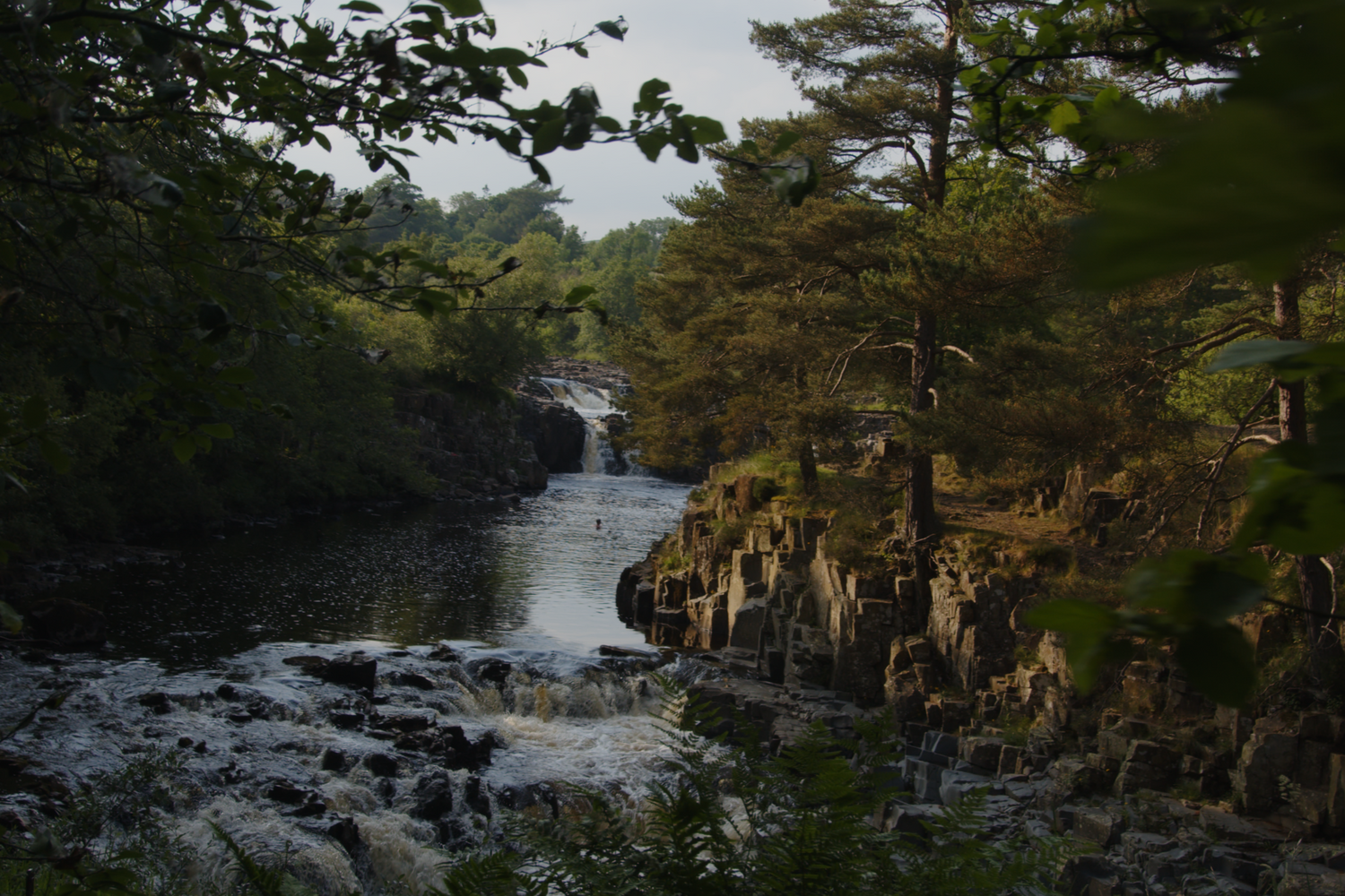 Scenic view of a river cascading over rocks surrounded by lush green forest, illustrating natural beauty, woodland management, and water quality.