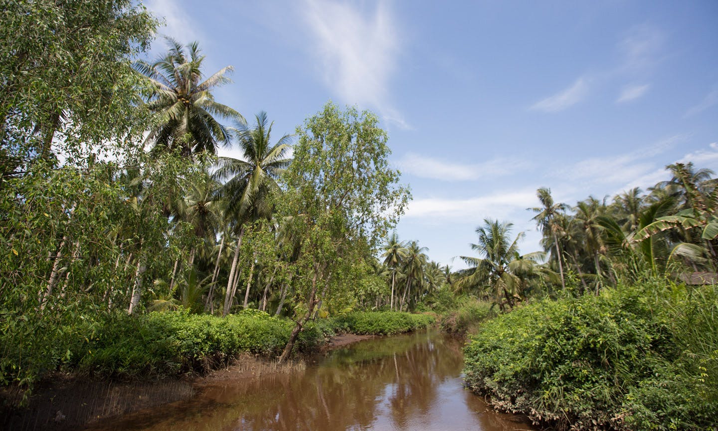 A small river winds through a lush, tropical landscape filled with dense greenery and tall palm trees under a bright blue sky with a few wispy clouds. 