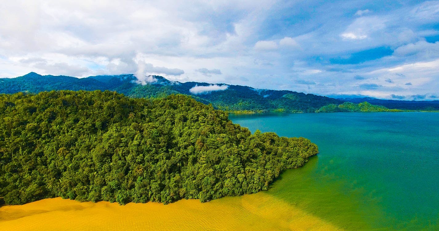 Aerial view of a tropical coastline with a lush green forest extending to the edge of a yellow sandy beach. 