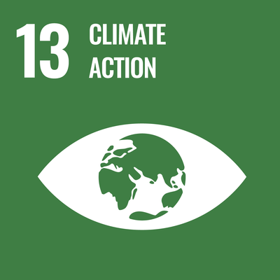 Sustainable Development Goal 13, Climate Action, icon