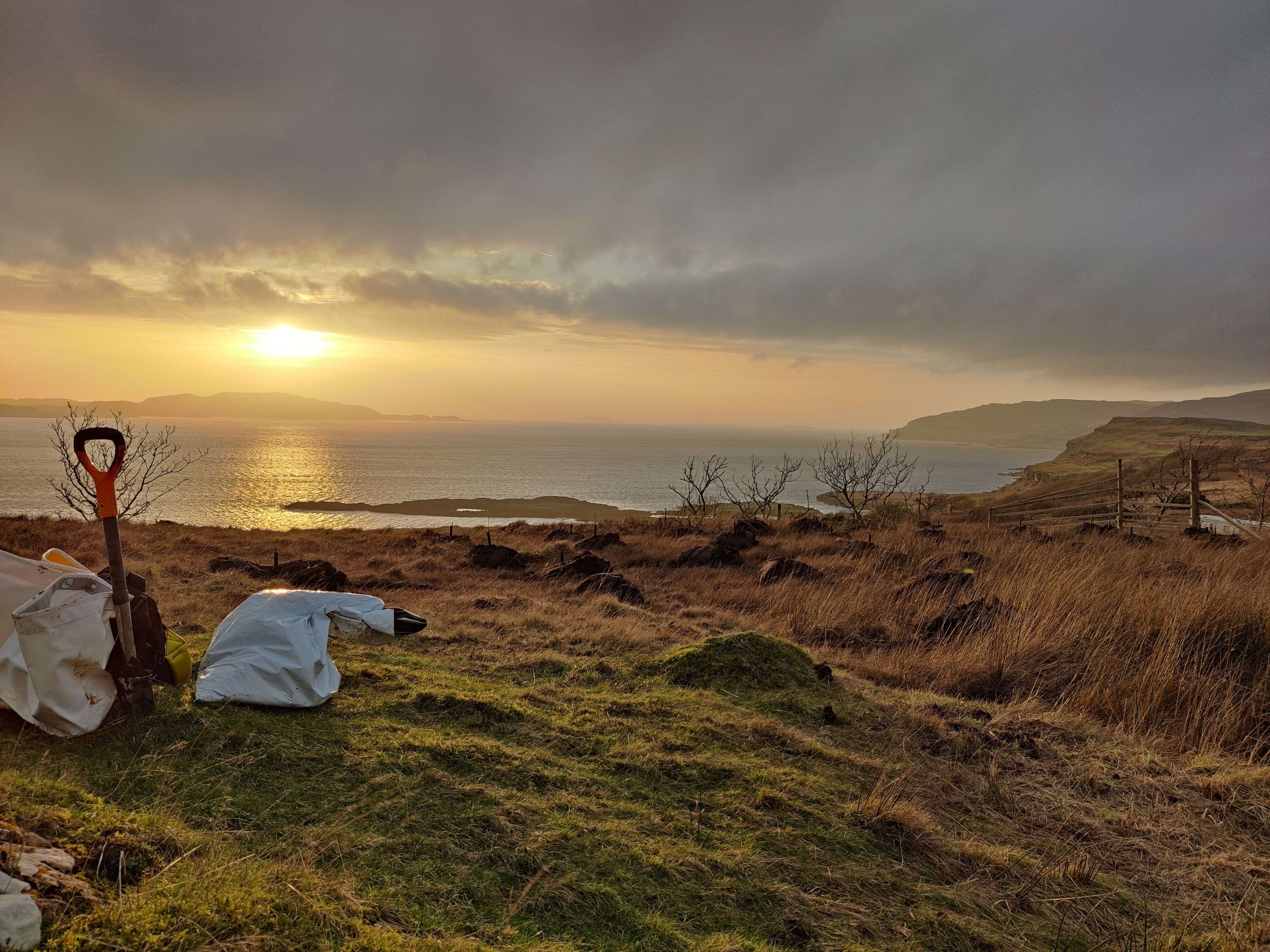 Sunset over a coastal landscape with a tree panting material (spade and bags).