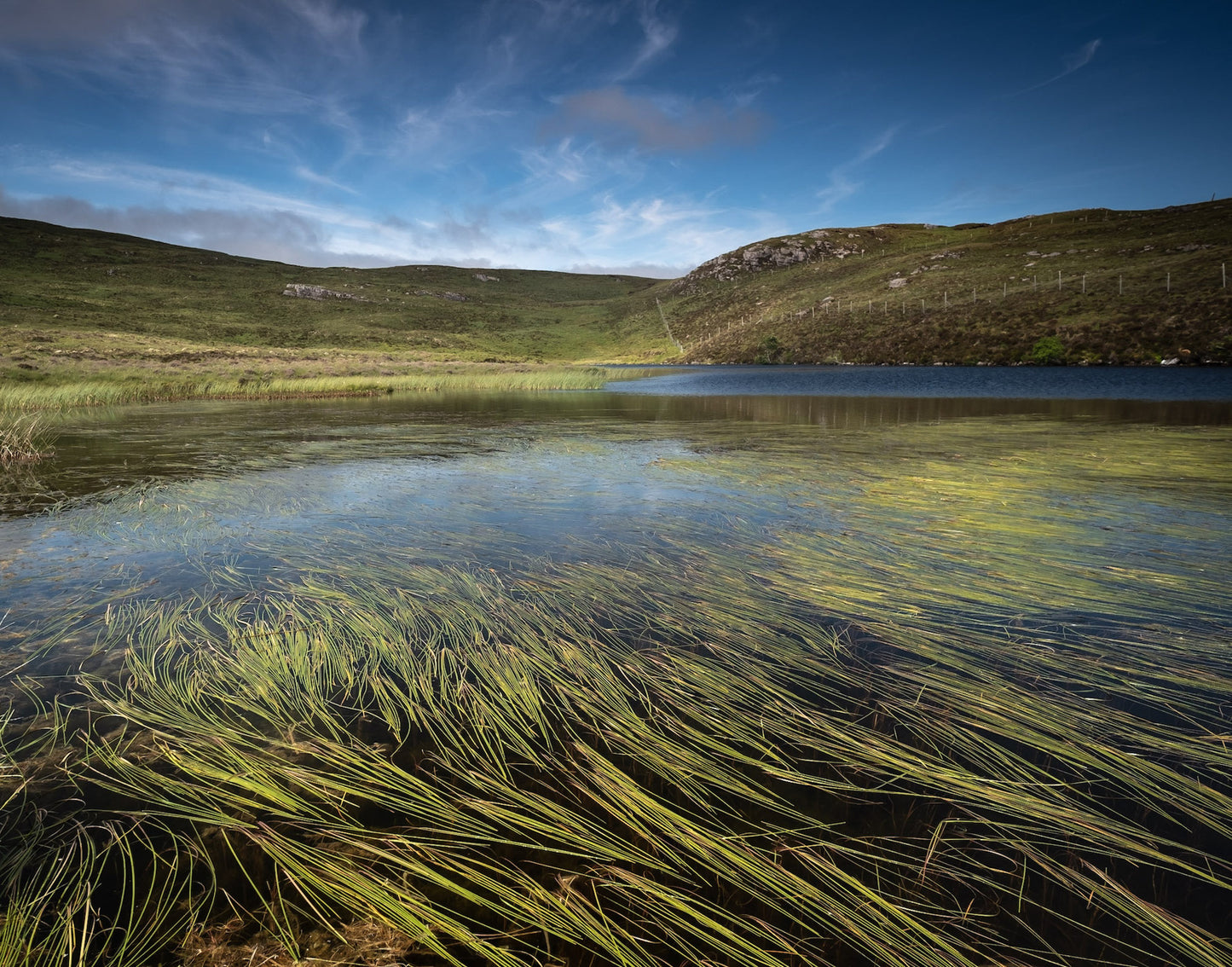 A serene lake with long grass underwater, surrounded by rolling green hills under a blue sky with wispy clouds.