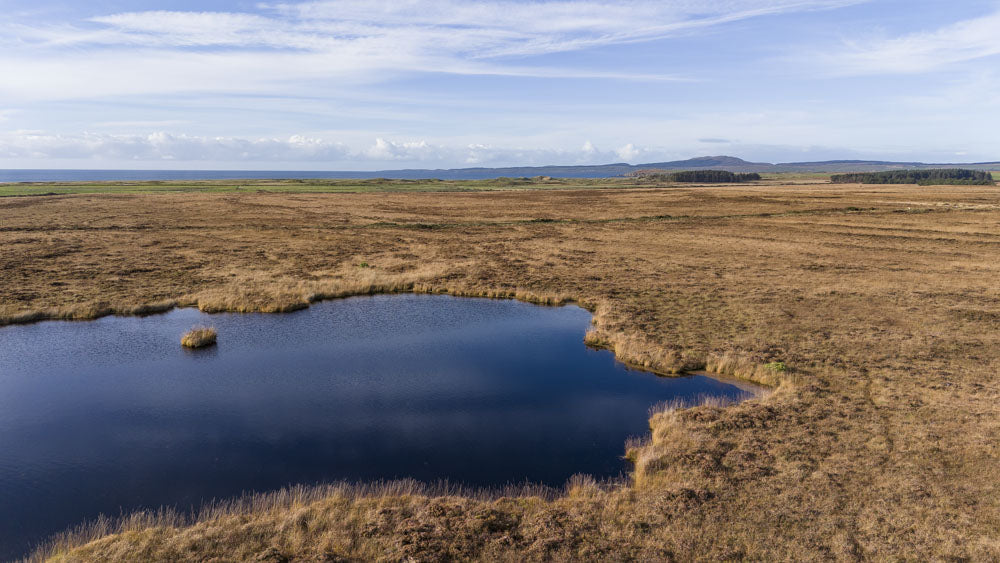 Aerial view of a large pond surrounded by vast dry grasslands under a partly cloudy sky, with distant mountains and a thin line of treeline on the horizon, showcasing nature's beauty amidst efforts for peatland restoration in Scotland.