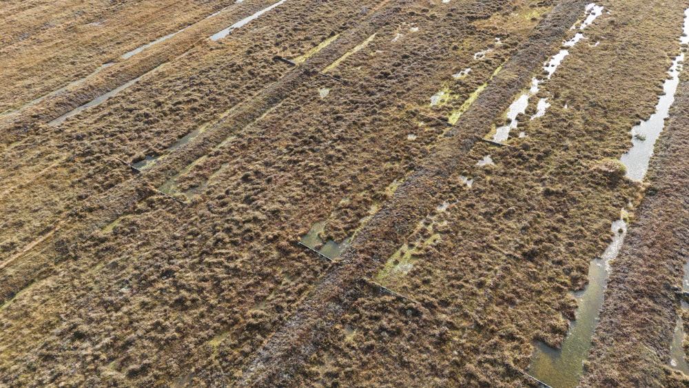 Aerial view of a peatland area showing rectangular peat cuts and patches of waterlogged terrain, highlighting ongoing peatland restoration efforts.