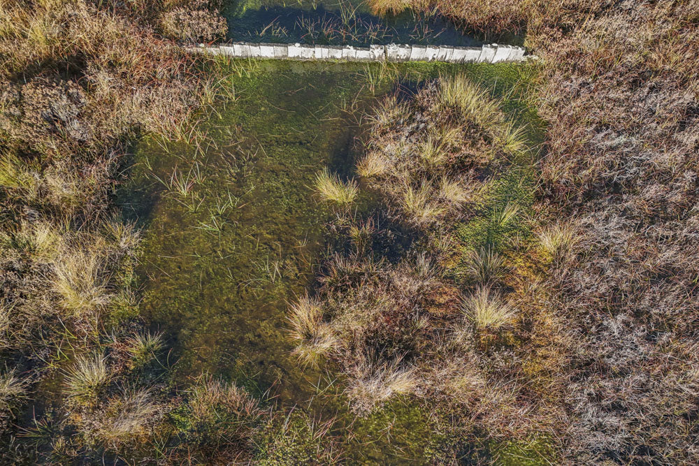 Aerial view of a small waterway surrounded by marshland, with a wooden barrier spanning across the water. 