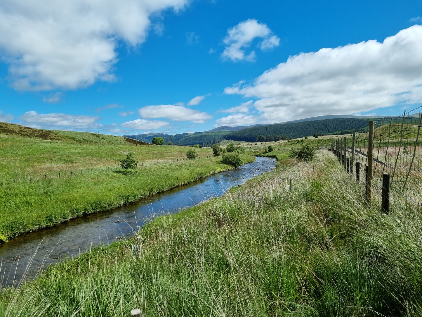 A landscape in the Scottish Borders, showing a narrow river winding through a green field with distant hills under a blue sky and scattered clouds. A fence runs alongside the river.