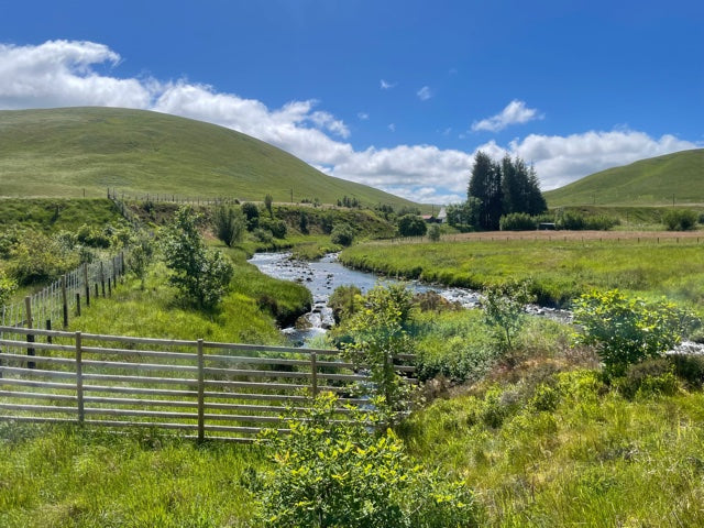 A narrow stream flows through a lush green meadow with rolling hills under a blue sky with scattered clouds, showcasing the rich British biodiversity. A wooden fence and trees are visible in the background.