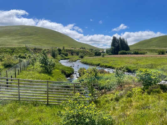 A narrow stream flows through a lush green meadow with rolling hills under a blue sky with scattered clouds, showcasing the rich British biodiversity. A wooden fence and trees are visible in the background.