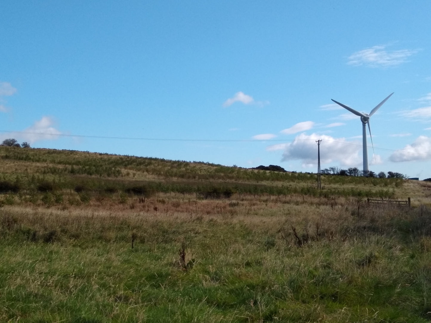 A grassy field with sparse small trees and a single large wind turbine in the background under a clear blue sky highlights the importance of emissions reduction in the UK