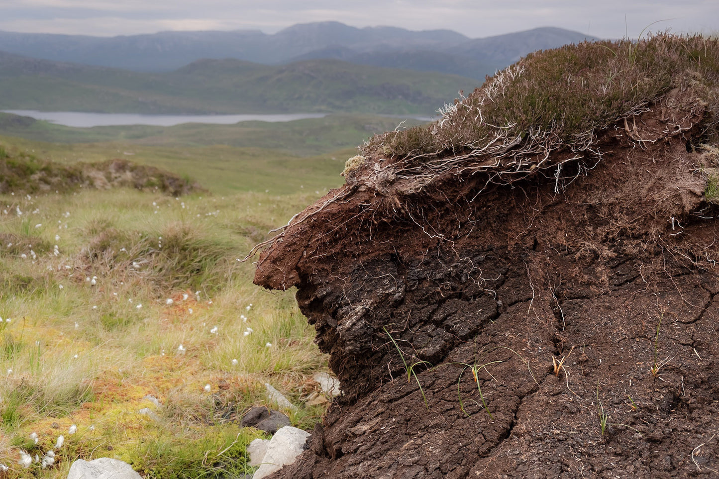 A close-up of exposed peat layers with grass on top, set against a hilly landscape in the background.