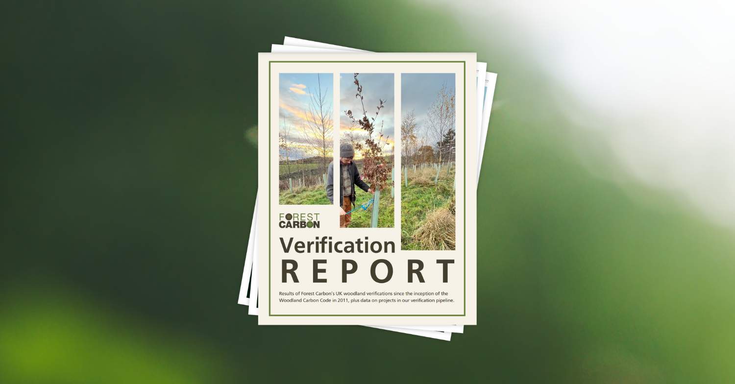 Screenshot of a report titled 'Forest Carbon Verification Report 2024' featuring a spliced-up image of someone measuring a young tree in winter. 